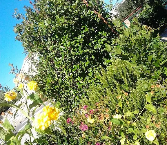 Apartament Jadranica