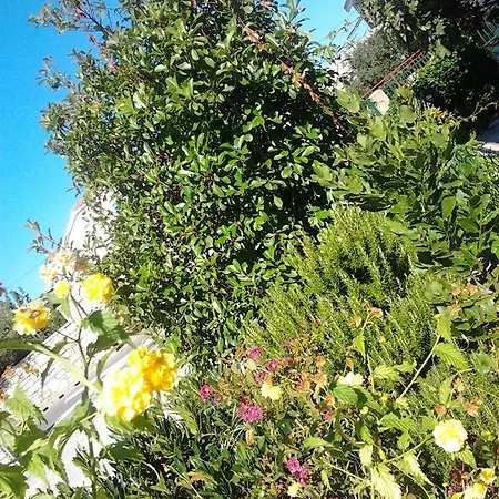 Appartement Jadranica