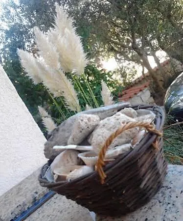 Jadranica Appartement *